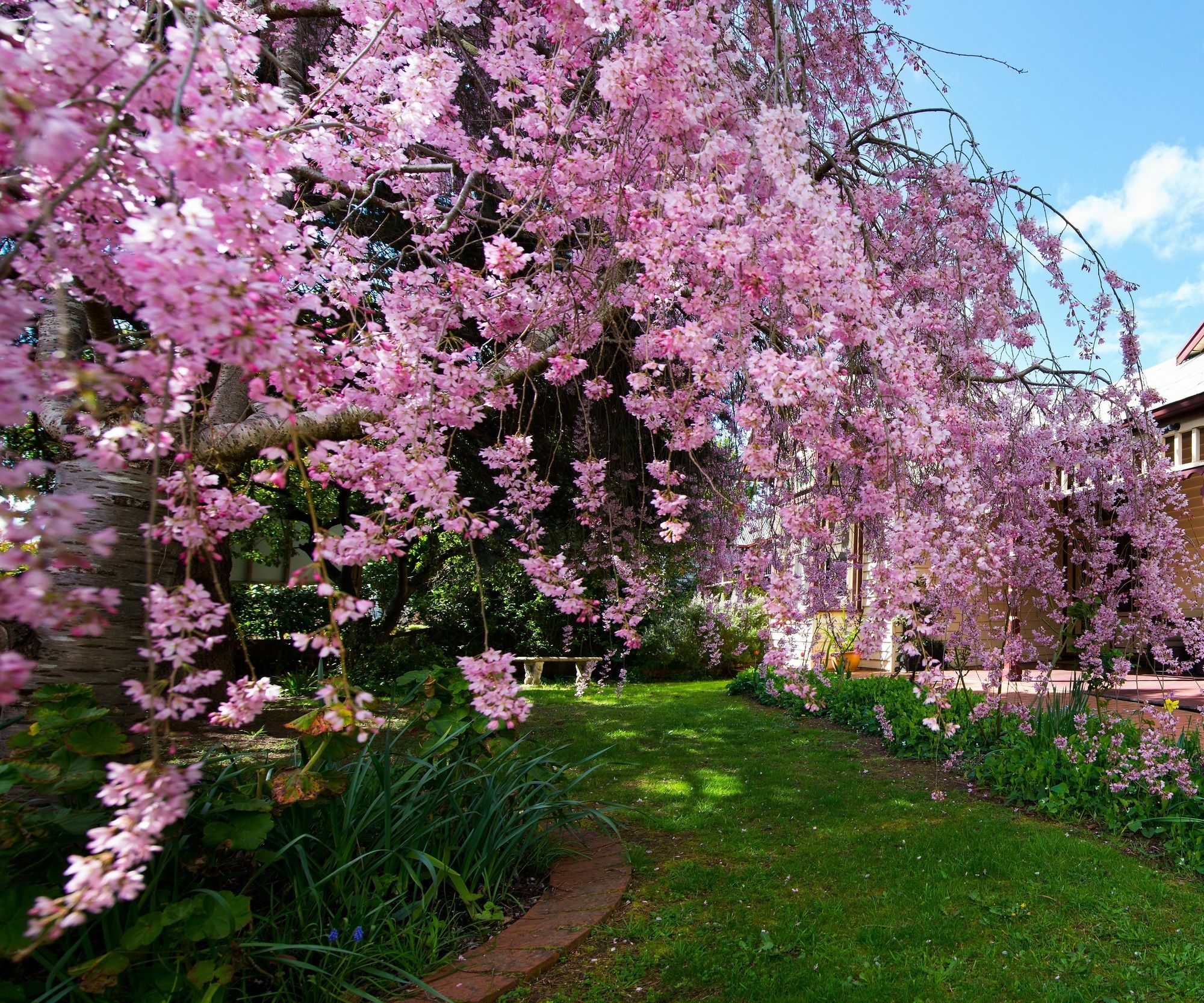 The Dudley Boutique Hotel Hepburn ภายนอก รูปภาพ